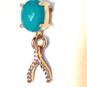 Earrings, Turquoise, Wishbone